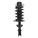 Complete Strut Assembly: Includes Strut, Coil Spring and Mount