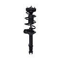 Complete Strut Assembly: Includes Strut, Coil Spring and Mount