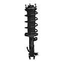 Complete Strut Assembly: Includes Strut, Coil Spring and Mount