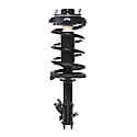 Complete Strut Assembly: Includes Strut, Coil Spring and Mount