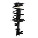 Complete Strut Assembly: Includes Strut, Coil Spring and Mount