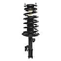 Complete Strut Assembly 18-814242: Includes Strut, Coil Spring and Mount