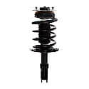 Complete Strut Assembly: Includes Strut, Coil Spring and Mount