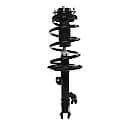 Complete Strut Assembly: Includes Strut, Coil Spring and Mount