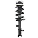 Complete Strut Assembly: Includes Strut, Coil Spring and Mount