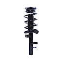 Complete Strut Assembly 18-817033: Includes Strut, Coil Spring and Mount