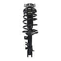 Complete Strut Assembly: Includes Strut, Coil Spring and Mount