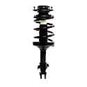 Complete Strut Assembly: Includes Strut, Coil Spring and Mount