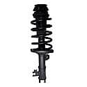 Complete Strut Assembly: Includes Strut, Coil Spring and Mount