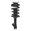 Complete Strut Assembly: Includes Strut, Coil Spring and Mount