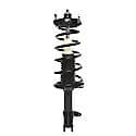 Complete Strut Assembly: Includes Strut, Coil Spring and Mount