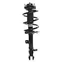 Complete Strut Assembly 18-816955: Includes Strut, Coil Spring and Mount