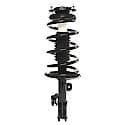 Complete Strut Assembly: Includes Strut, Coil Spring and Mount