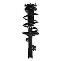 Complete Strut Assembly: Includes Strut, Coil Spring and Mount