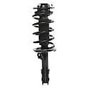 Complete Strut Assembly: Includes Strut, Coil Spring and Mount