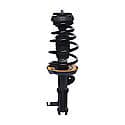 Complete Strut Assembly: Includes Strut, Coil Spring and Mount