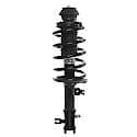 Complete Strut Assembly 18-816646: Includes Strut, Coil Spring and Mount