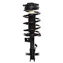 Complete Strut Assembly: Includes Strut, Coil Spring and Mount