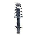 Complete Strut Assembly 18-816545: Includes Strut, Coil Spring and Mount