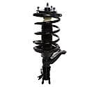 Complete Strut Assembly: Includes Strut, Coil Spring and Mount