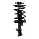 Complete Strut Assembly: Includes Strut, Coil Spring and Mount