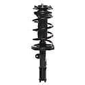 Complete Strut Assembly: Includes Strut, Coil Spring and Mount