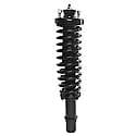 Complete Strut Assembly: Includes Strut, Coil Spring and Mount