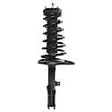 Complete Strut Assembly 18-816348: Includes Strut, Coil Spring and Mount