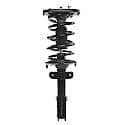 Complete Strut Assembly: Includes Strut, Coil Spring and Mount