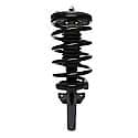 Complete Strut Assembly: Includes Strut, Coil Spring and Mount