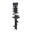 Complete Strut Assembly: Includes Strut, Coil Spring and Mount