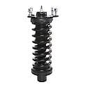 Complete Strut Assembly: Includes Strut, Coil Spring and Mount