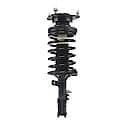 Complete Strut Assembly: Includes Strut, Coil Spring and Mount