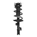 Complete Strut Assembly: Includes Strut, Coil Spring and Mount