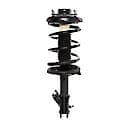 Complete Strut Assembly: Includes Strut, Coil Spring and Mount