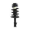 Complete Strut Assembly: Includes Strut, Coil Spring and Mount