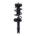 Complete Strut Assembly: Includes Strut, Coil Spring and Mount