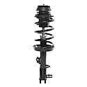 Complete Strut Assembly: Includes Strut, Coil Spring and Mount