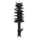 Complete Strut Assembly: Includes Strut, Coil Spring and Mount