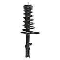 Complete Strut Assembly: Includes Strut, Coil Spring and Mount