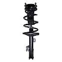 Complete Strut Assembly: Includes Strut, Coil Spring and Mount