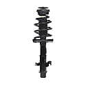 Complete Strut Assembly: Includes Strut, Coil Spring and Mount