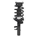 Complete Strut Assembly: Includes Strut, Coil Spring and Mount