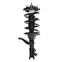 Complete Strut Assembly: Includes Strut, Coil Spring and Mount