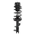 Complete Strut Assembly: Includes Strut, Coil Spring and Mount