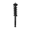 Complete Strut Assembly: Includes Strut, Coil Spring and Mount