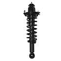 Complete Strut Assembly: Includes Strut, Coil Spring and Mount