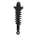 Complete Strut Assembly: Includes Strut, Coil Spring and Mount