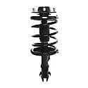 Complete Strut Assembly: Includes Strut, Coil Spring and Mount