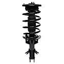 Complete Strut Assembly: Includes Strut, Coil Spring and Mount